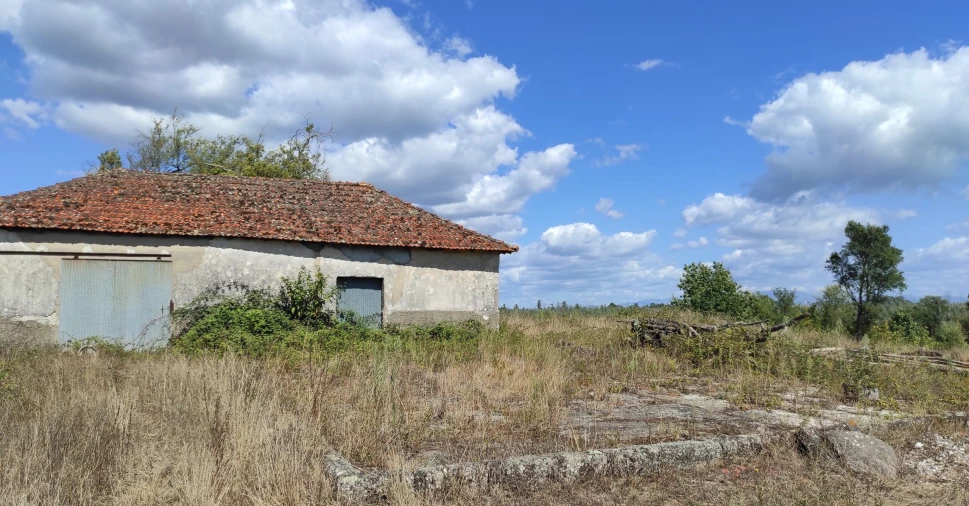 Quinta T57 para Venda em São João de Areias Foto 18