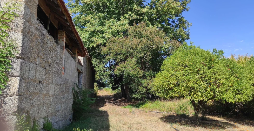 Quinta T57 para Venda em São João de Areias Foto 11