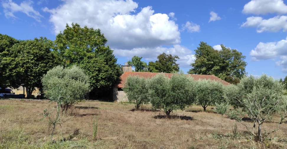 Quinta T57 para Venda em São João de Areias Foto 28
