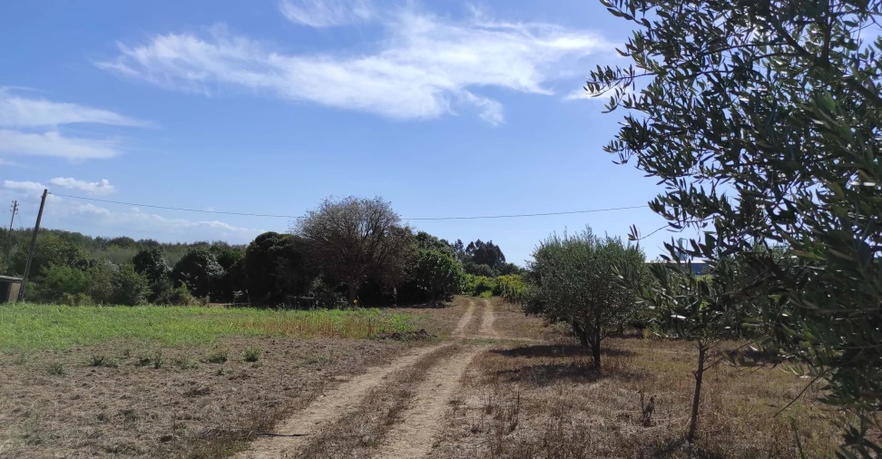 Quinta T57 para Venda em São João de Areias Foto 23
