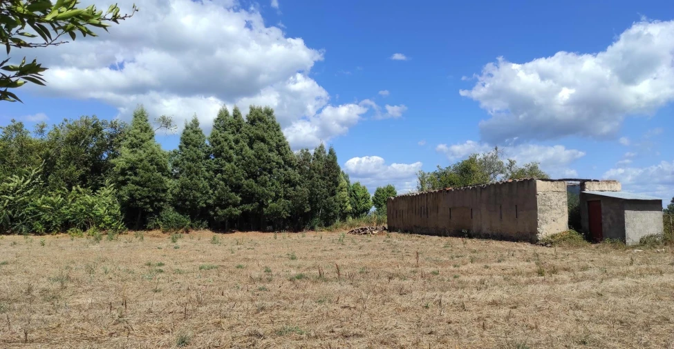 Quinta T57 para Venda em São João de Areias Foto 17