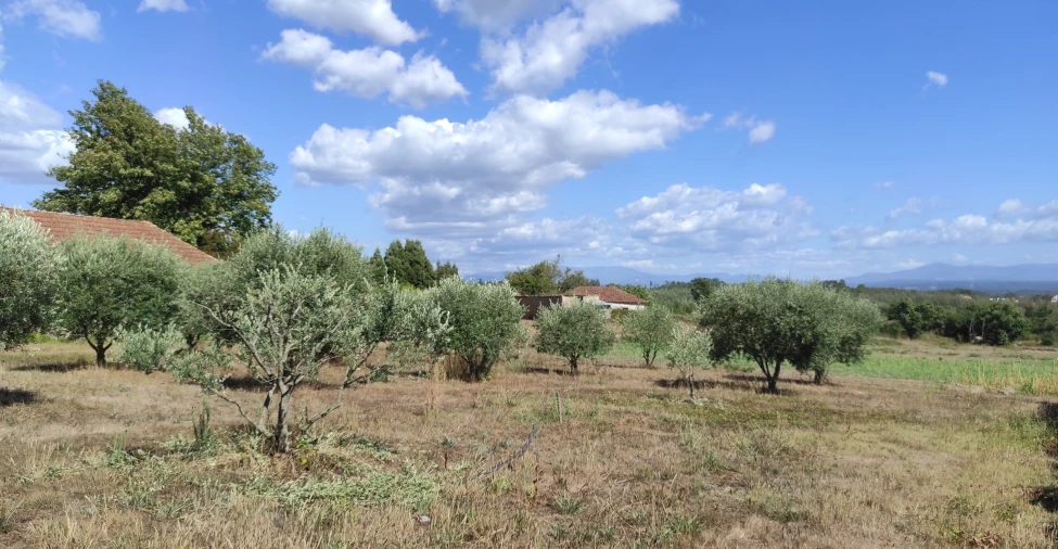 Quinta T57 para Venda em São João de Areias Foto 27