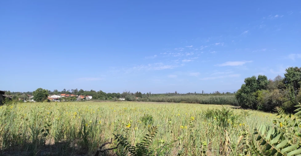 Quinta T57 para Venda em São João de Areias Foto 13