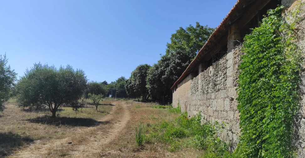 Quinta T57 para Venda em São João de Areias Foto 12