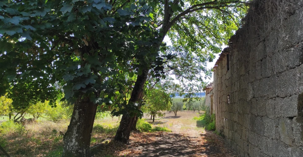 Quinta T57 para Venda em São João de Areias Foto 22