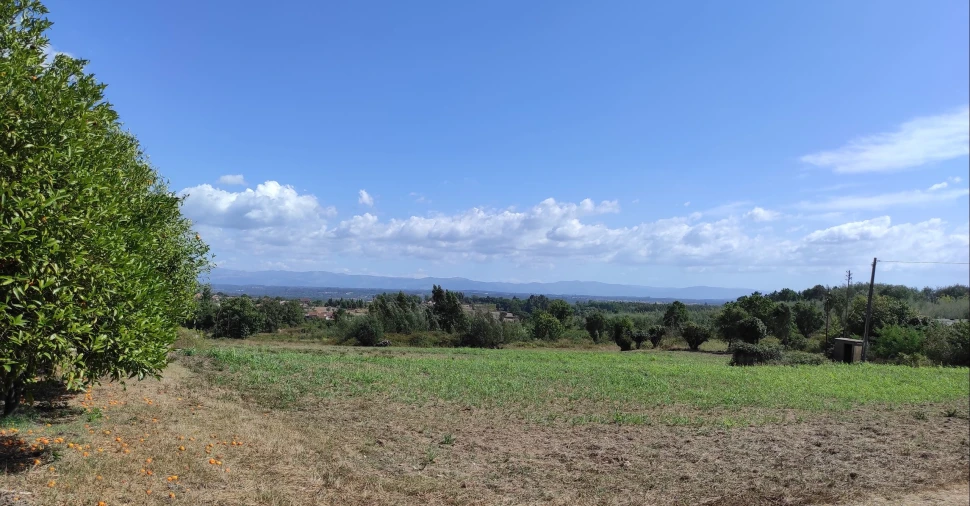 Quinta T57 para Venda em São João de Areias Foto 14