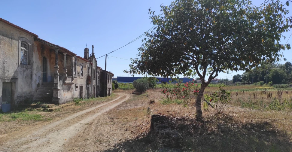 Quinta T57 para Venda em São João de Areias Foto 3