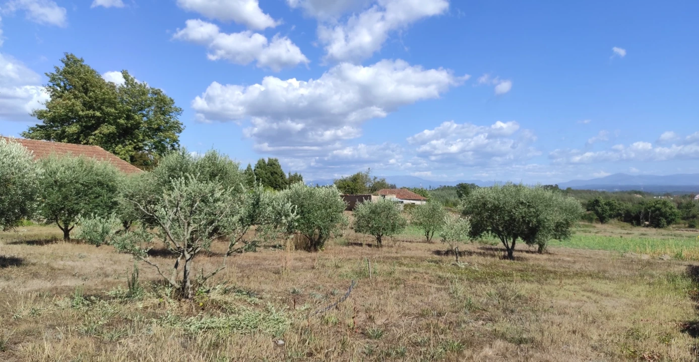 Quinta T57 para Venda em São João de Areias Foto 27