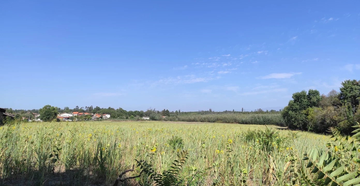 Quinta T57 para Venda em São João de Areias Foto 13