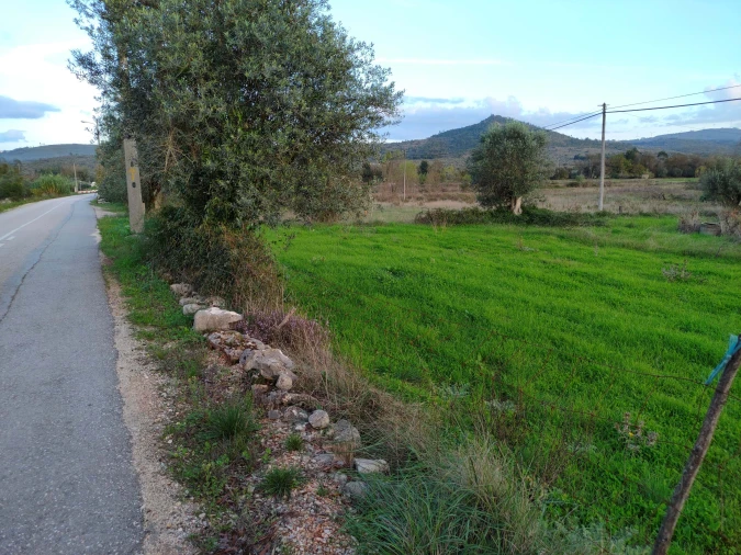Terreno para Venda em São Miguel, Santa Eufémia e Rabaçal Foto 2