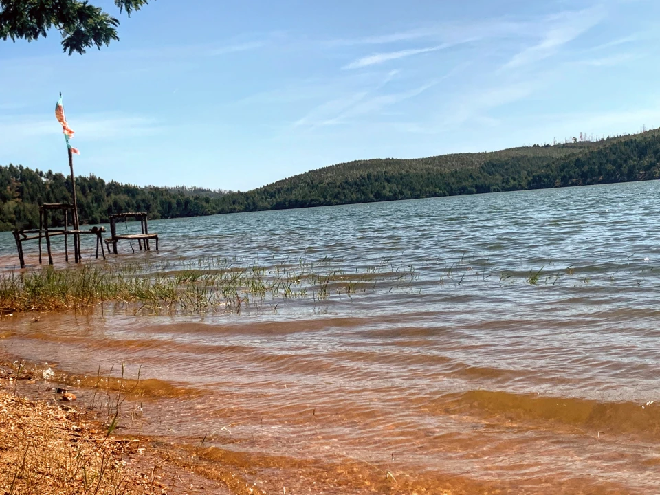 Terreno para Venda em Mortágua, Vale de Remígio, Cortegaça e Almaça Foto 2