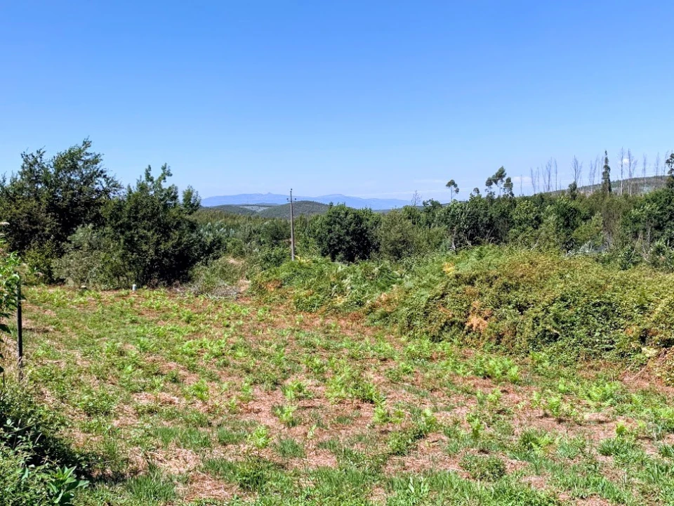 Terreno para Venda em Mortágua, Vale de Remígio, Cortegaça e Almaça Foto 5
