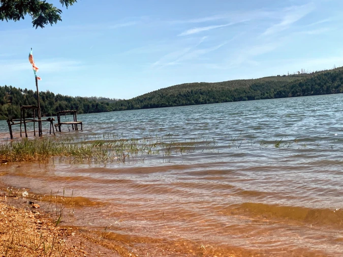 Terreno para Venda em Mortágua, Vale de Remígio, Cortegaça e Almaça Foto 2