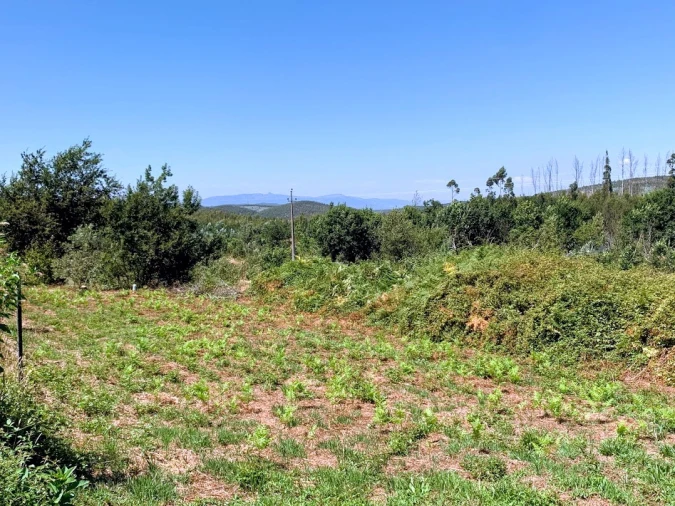 Terreno para Venda em Mortágua, Vale de Remígio, Cortegaça e Almaça Foto 5