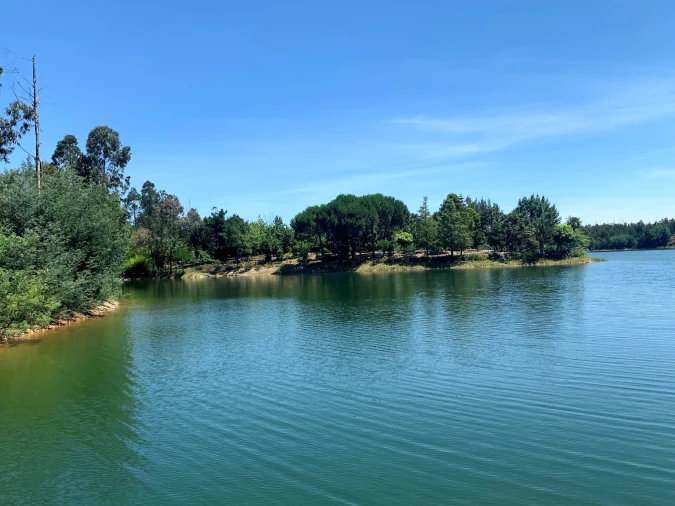 Terreno para Venda em Mortágua, Vale de Remígio, Cortegaça e Almaça Foto 4