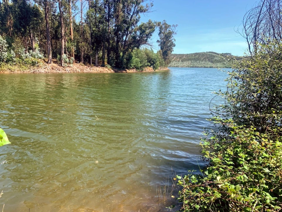 Terreno para Venda em Mortágua, Vale de Remígio, Cortegaça e Almaça Foto 1