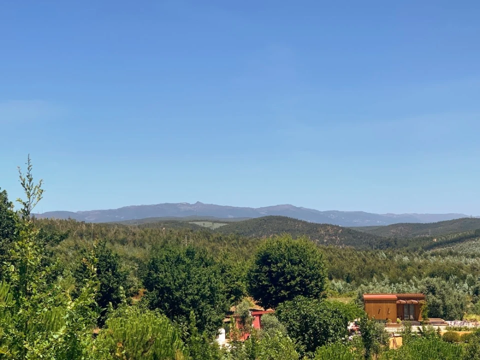 Terreno para Venda em Mortágua, Vale de Remígio, Cortegaça e Almaça Foto 3
