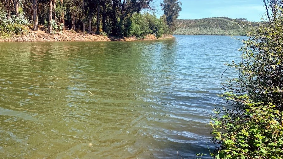 Terreno para Venda em Mortágua, Vale de Remígio, Cortegaça e Almaça
