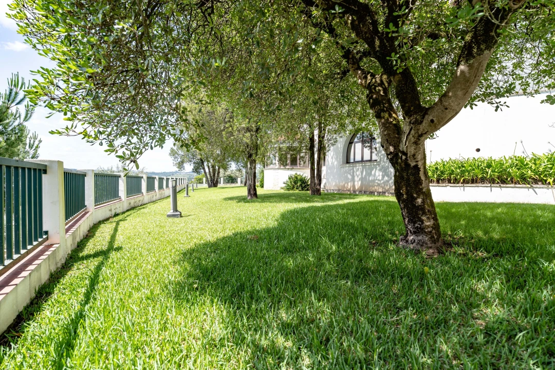 Moradia T9 para Venda em Sé Nova, Santa Cruz, Almedina e São Bartolomeu Foto 55