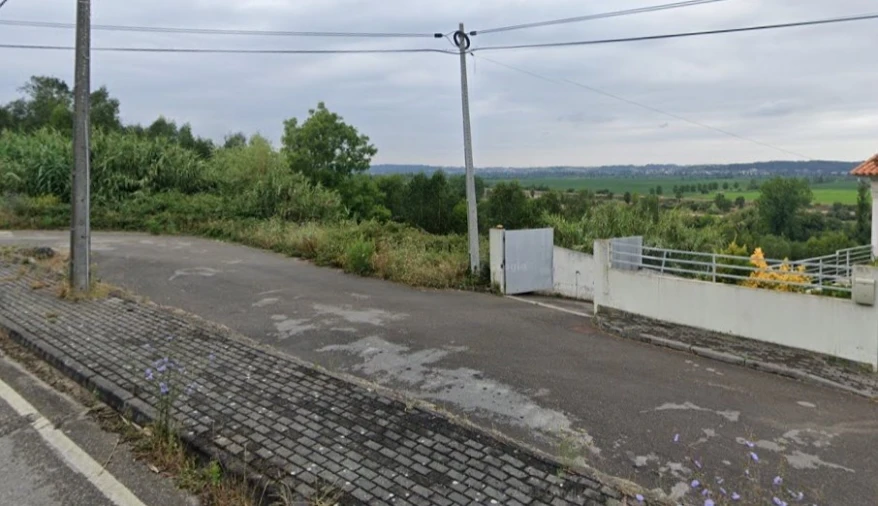 Terreno para Venda em Santo Varão Foto 6