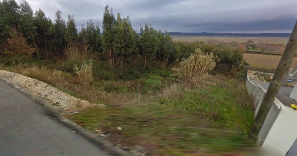Terreno para Venda em Santo Varão Foto 4