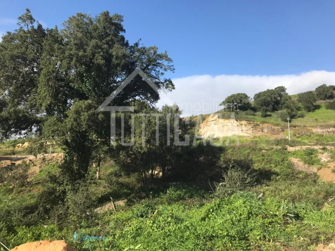 Terreno para Venda em Malveira e São Miguel de Alcainça Foto 4