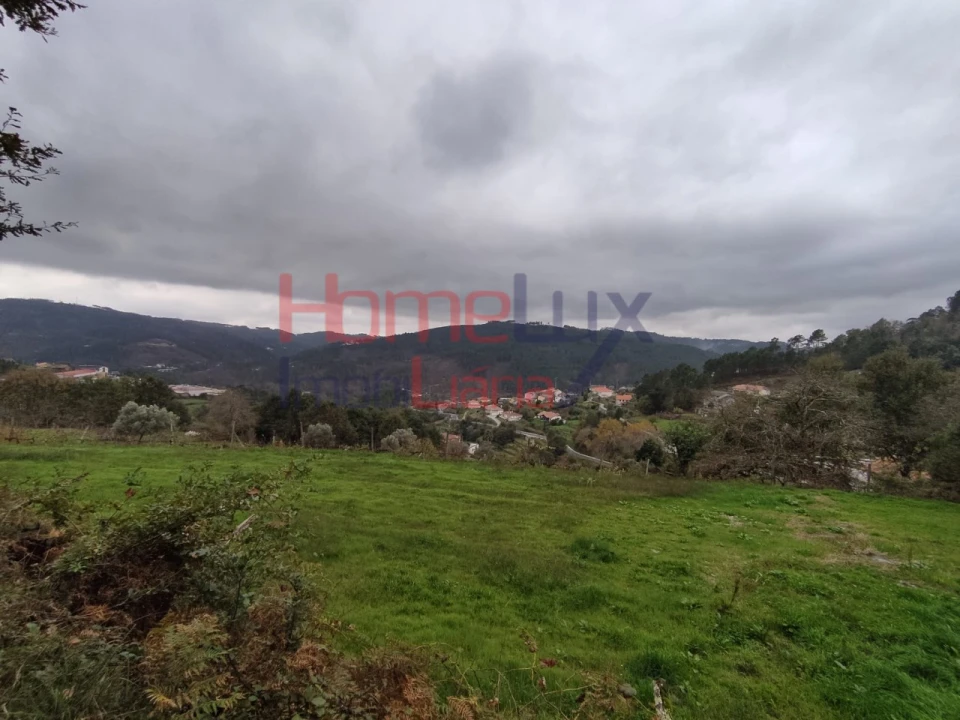 Terreno para Venda em Castro Daire Foto 1