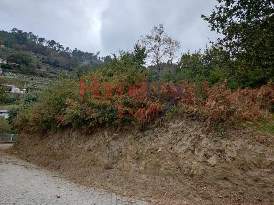 Terreno para Venda em Castro Daire Foto 5