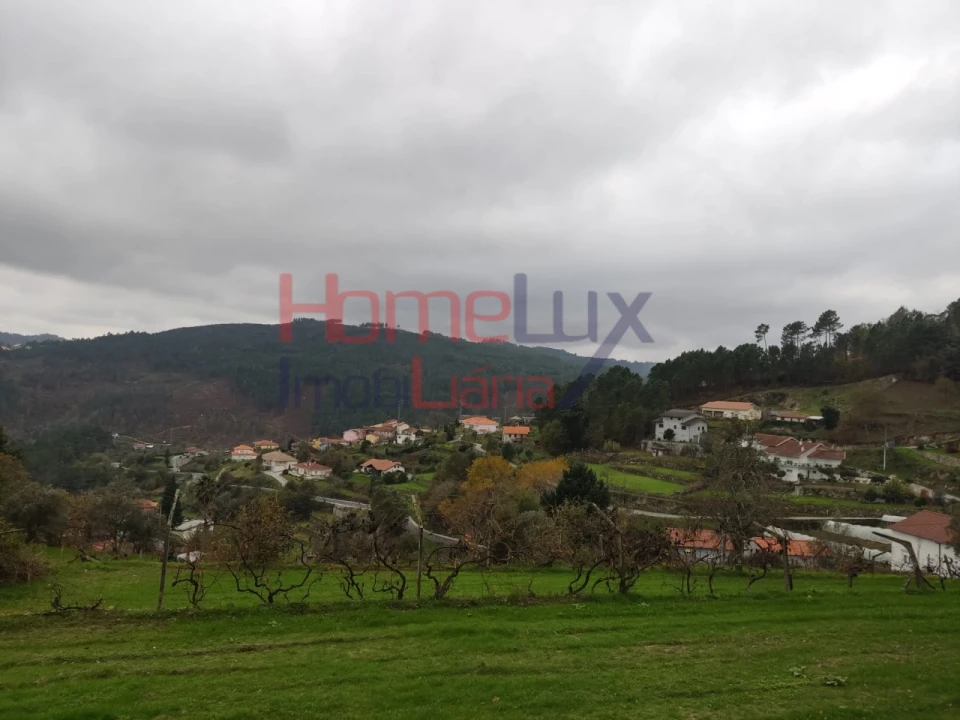 Terreno para Venda em Castro Daire Foto 13