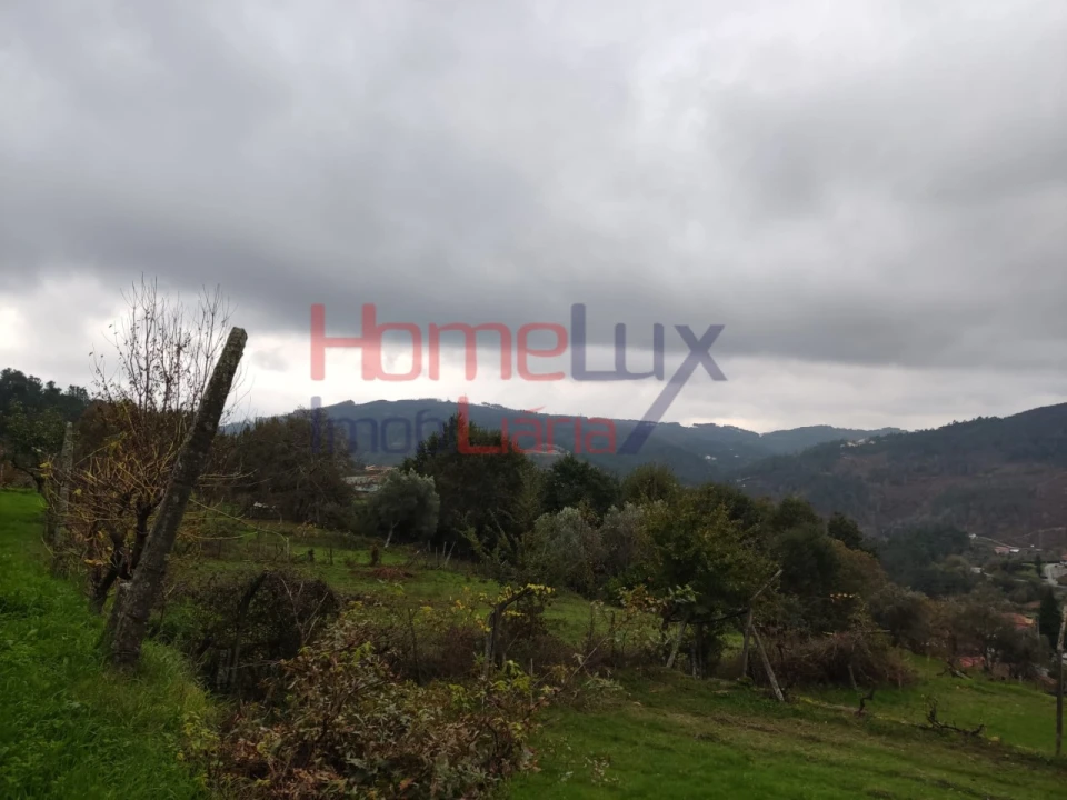 Terreno para Venda em Castro Daire Foto 14