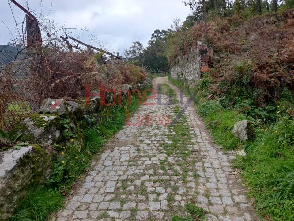 Terreno para Venda em Castro Daire Foto 17