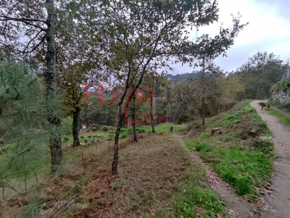 Terreno para Venda em Castro Daire Foto 22