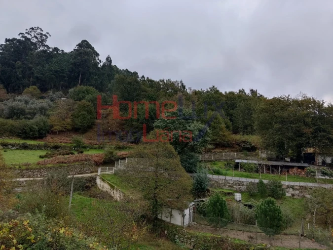 Terreno para Venda em Castro Daire Foto 2