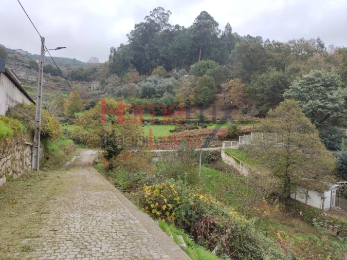 Terreno para Venda em Castro Daire Foto 3