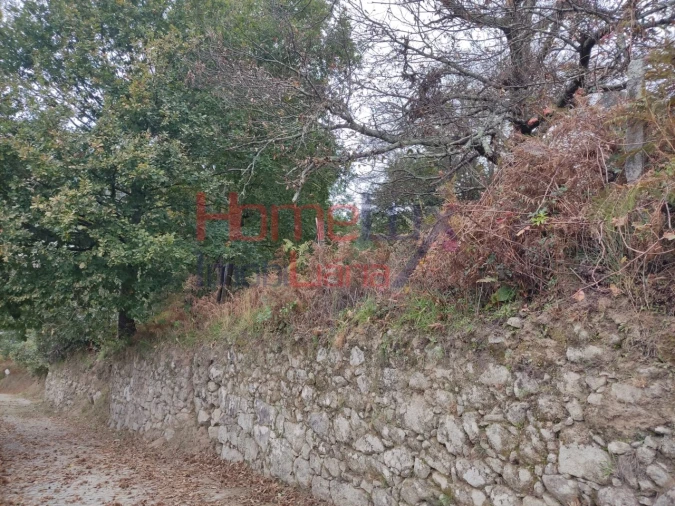 Terreno para Venda em Castro Daire Foto 12