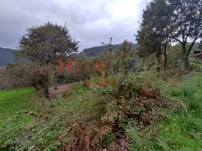 Terreno para Venda em Castro Daire Foto 20