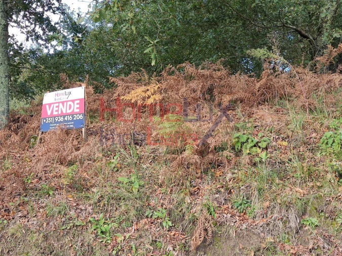 Terreno para Venda em Castro Daire Foto 28