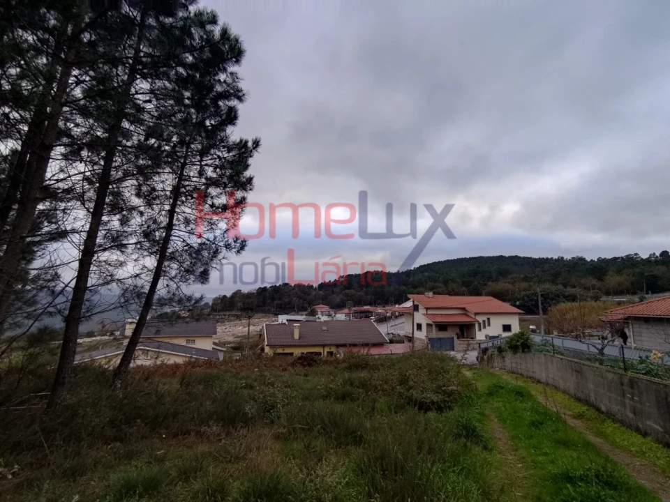 Terreno para Venda em Castro Daire Foto 1