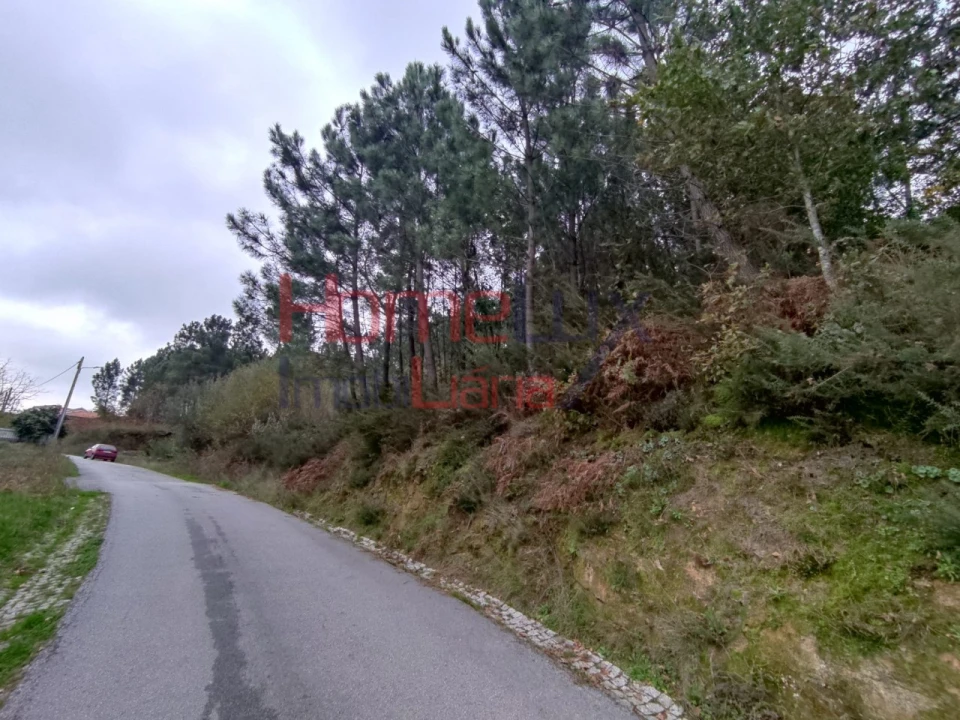 Terreno para Venda em Castro Daire Foto 2