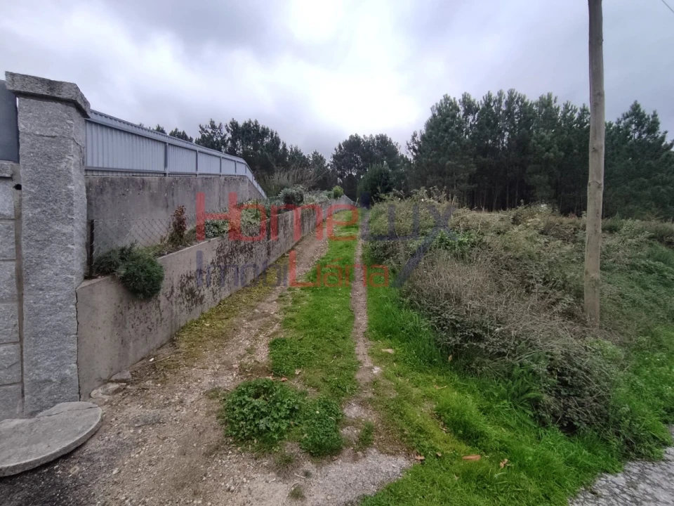 Terreno para Venda em Castro Daire Foto 5