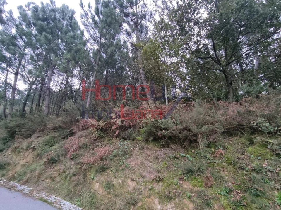 Terreno para Venda em Castro Daire Foto 10