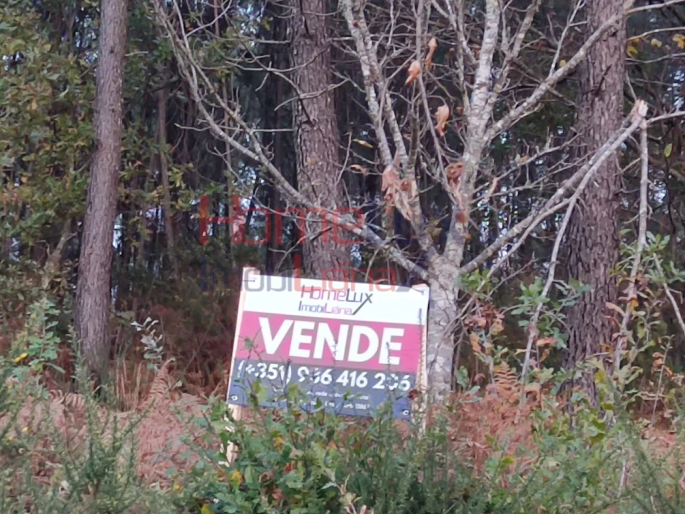 Terreno para Venda em Castro Daire Foto 13