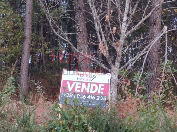 Terreno para Venda em Castro Daire Foto 13