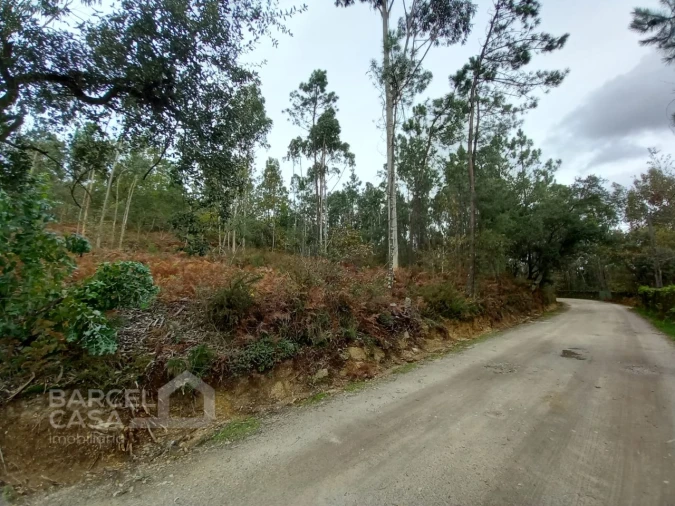 Terreno Agricola ou Rústico para Venda em Perelhal Foto 2