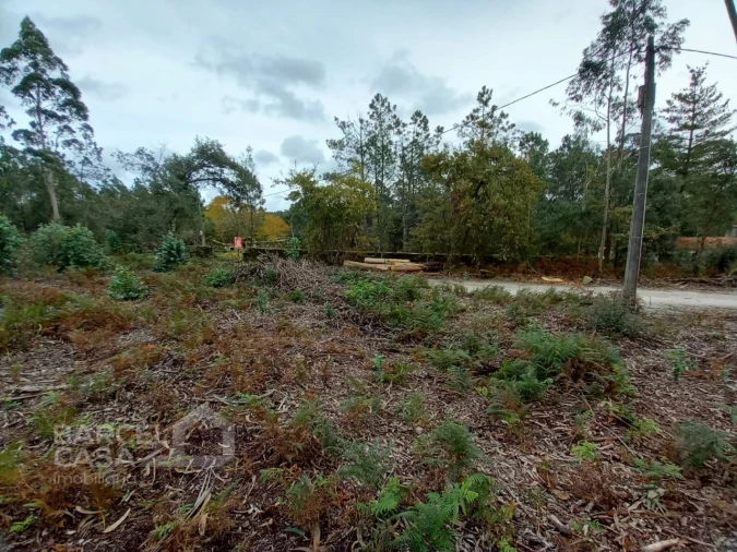Terreno Agricola ou Rústico para Venda em Perelhal Foto 8