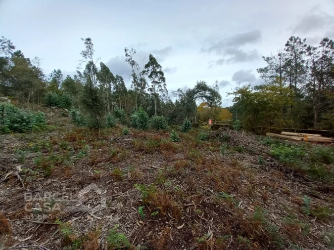 Terreno Agricola ou Rústico para Venda em Perelhal Foto 10