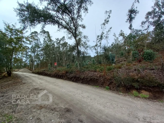 Terreno Agricola ou Rústico para Venda em Perelhal Foto 11