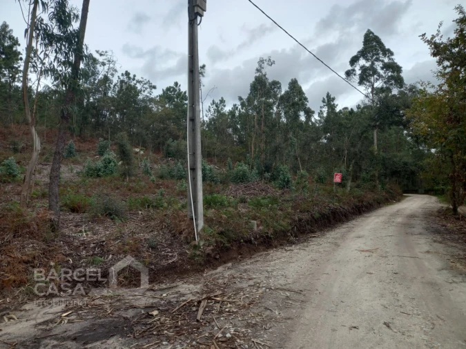 Terreno Agricola ou Rústico para Venda em Perelhal Foto 12