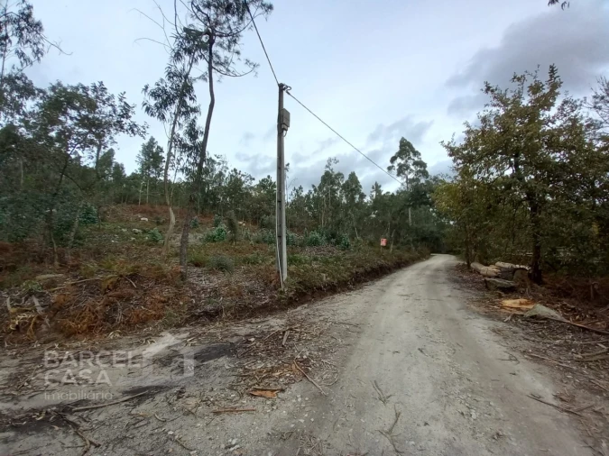 Terreno Agricola ou Rústico para Venda em Perelhal Foto 13