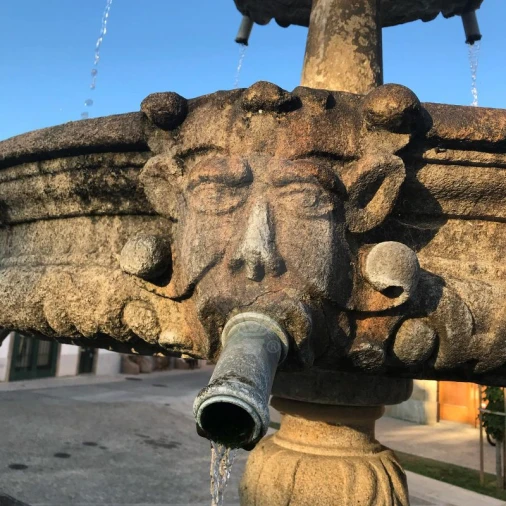 Negócio para Venda em Santa Maria da Feira, Travanca, Sanfins e Espargo Foto 6